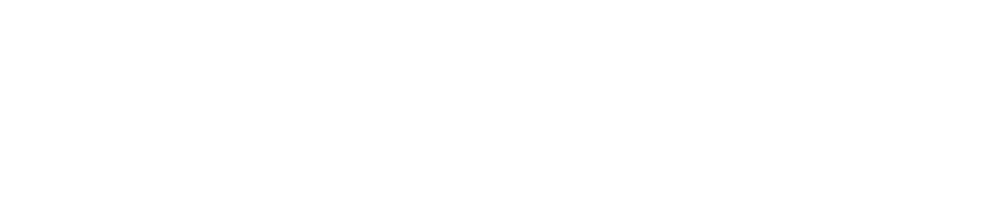 Steinberg logo